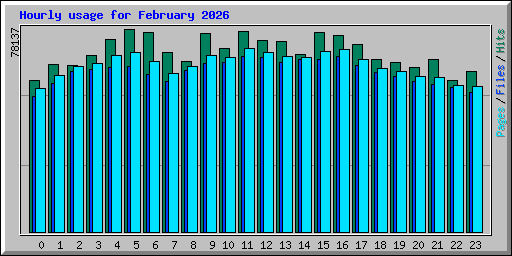 Hourly usage for February 2026